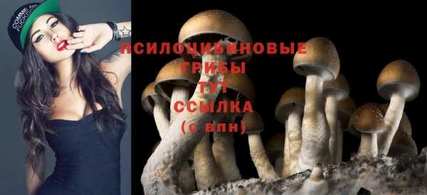 кокаин колумбия Бородино