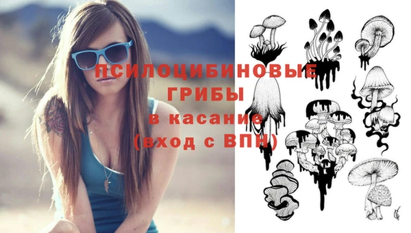 ГАЛЛЮЦИНОГЕННЫЕ ГРИБЫ Бронницы