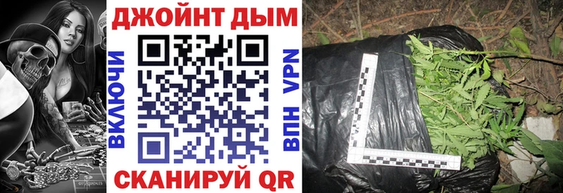 Купить где  Андреаполь  Каннабис семена 